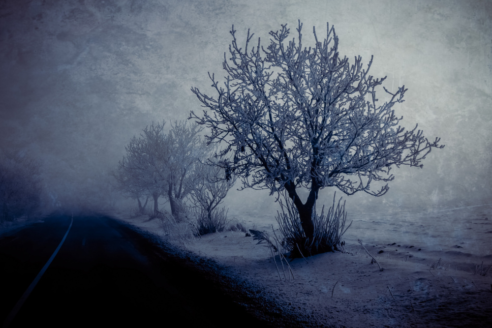 At night foggy von Farid Kazamil