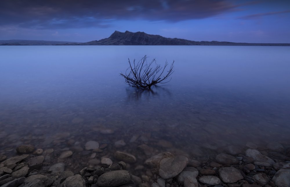 Silence von Farshad Sorkhi