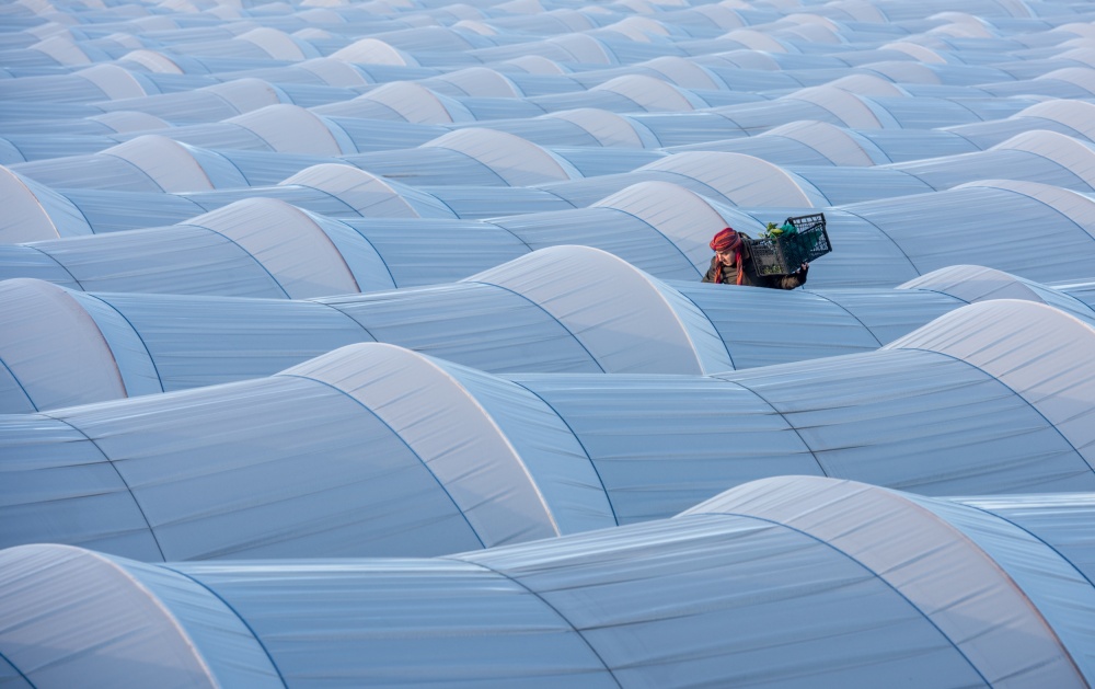 Greenhouse von Faruk Uslu