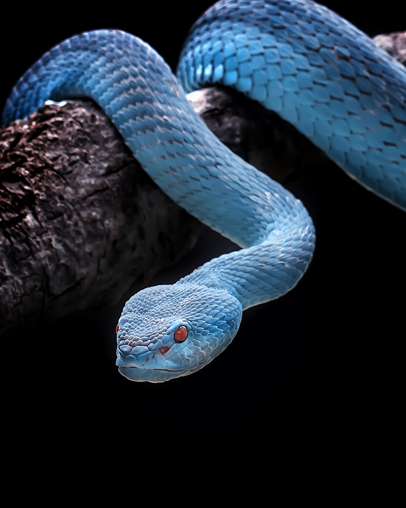 Calm Blue Insularis von Fauzan Maududdin