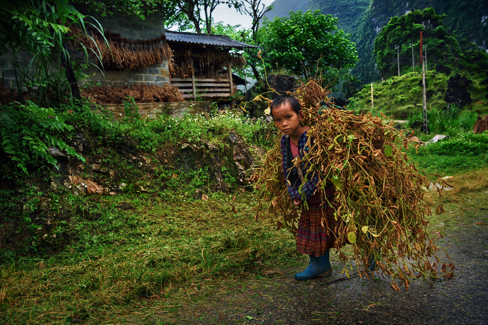 Childhood in Ha Giang von Felipe Souto