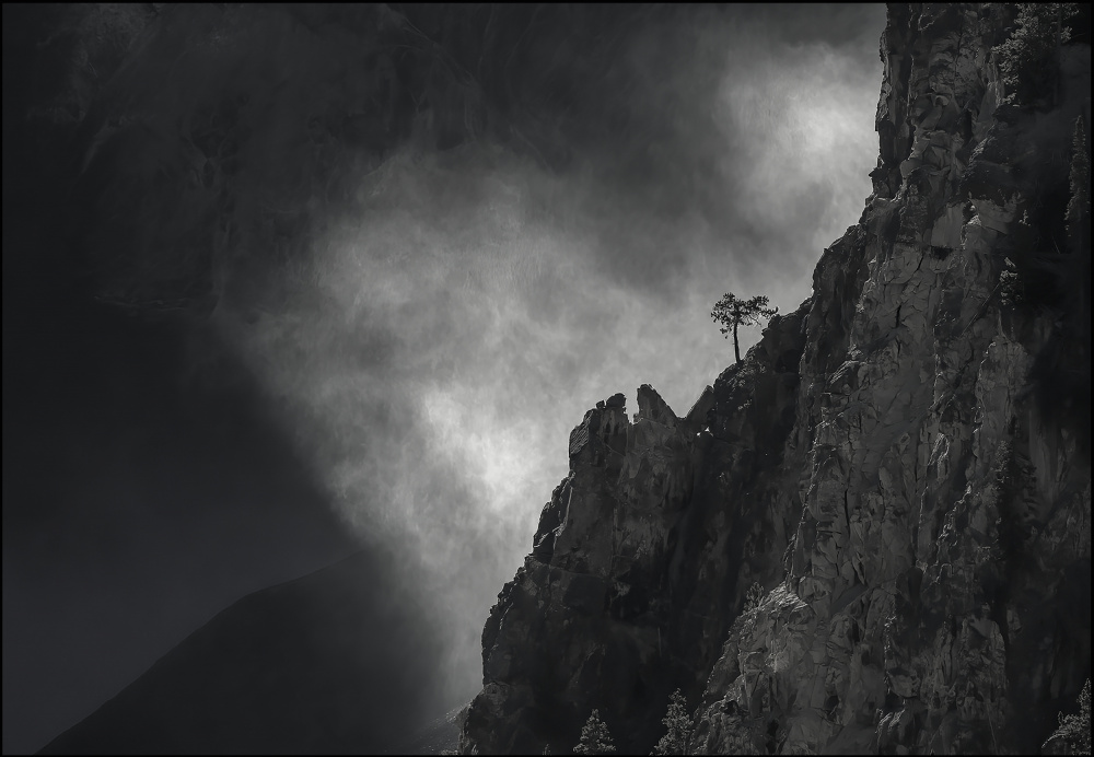 Mountain, Fog and the Tree von Feng Qin