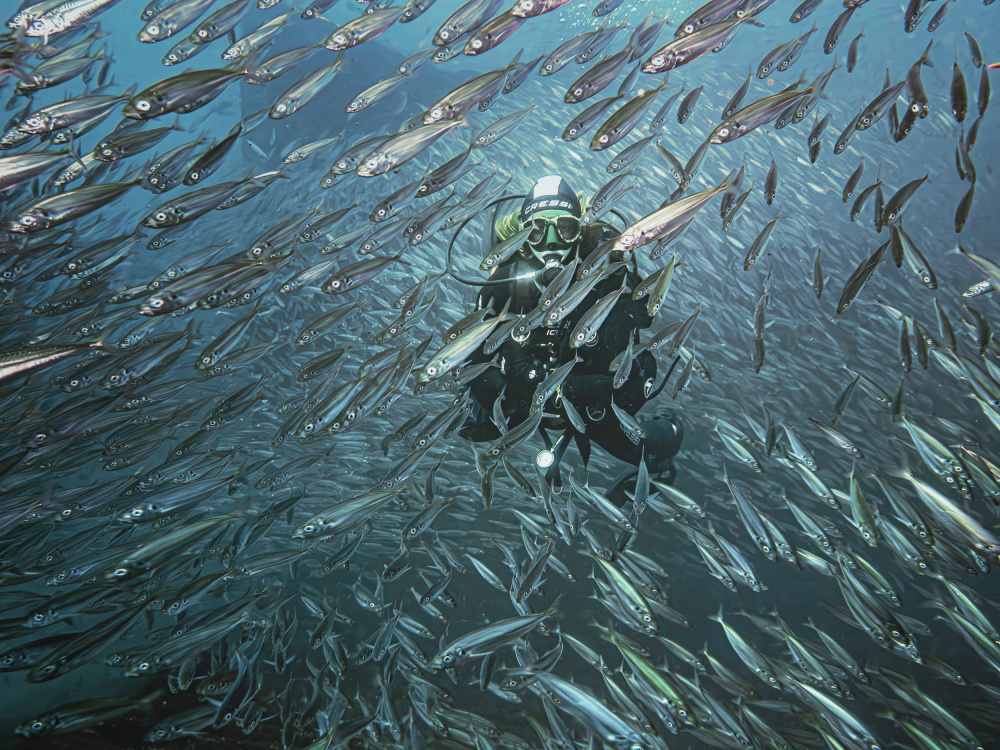 Between shoals von Fernando Abreu