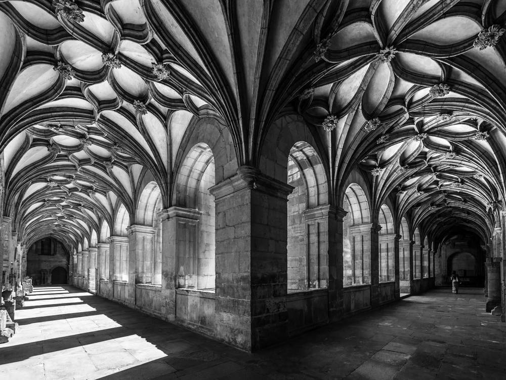 the flowery cloister von Fernando Silveira