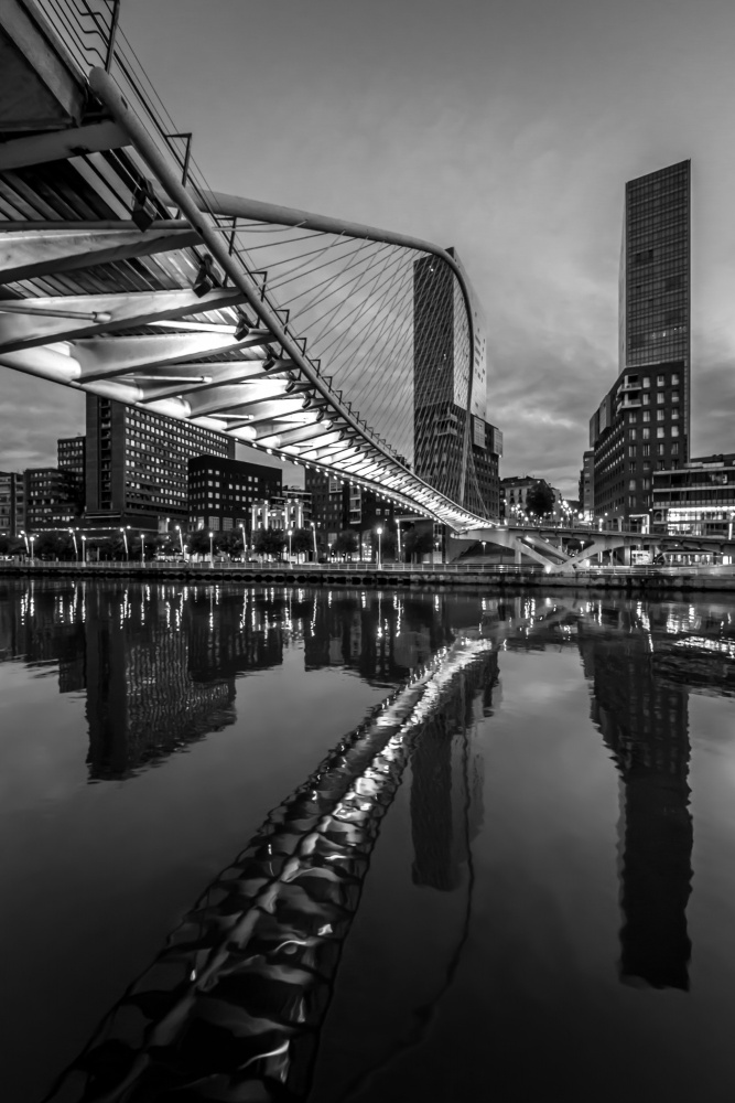 The city, the river, and the bridge von Fernando Silveira