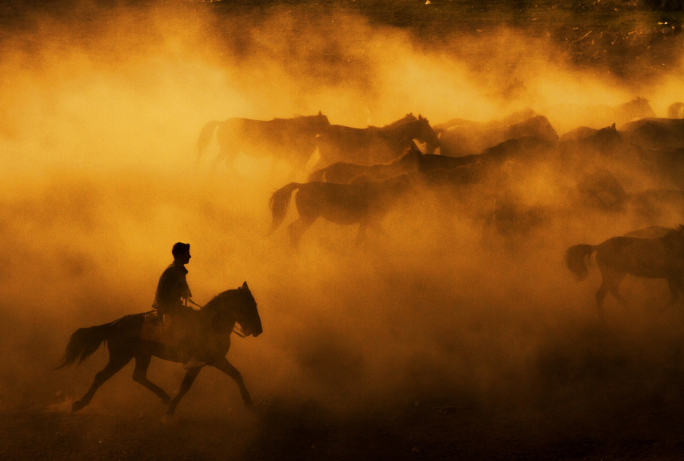 cowboy von feyzullah tunc