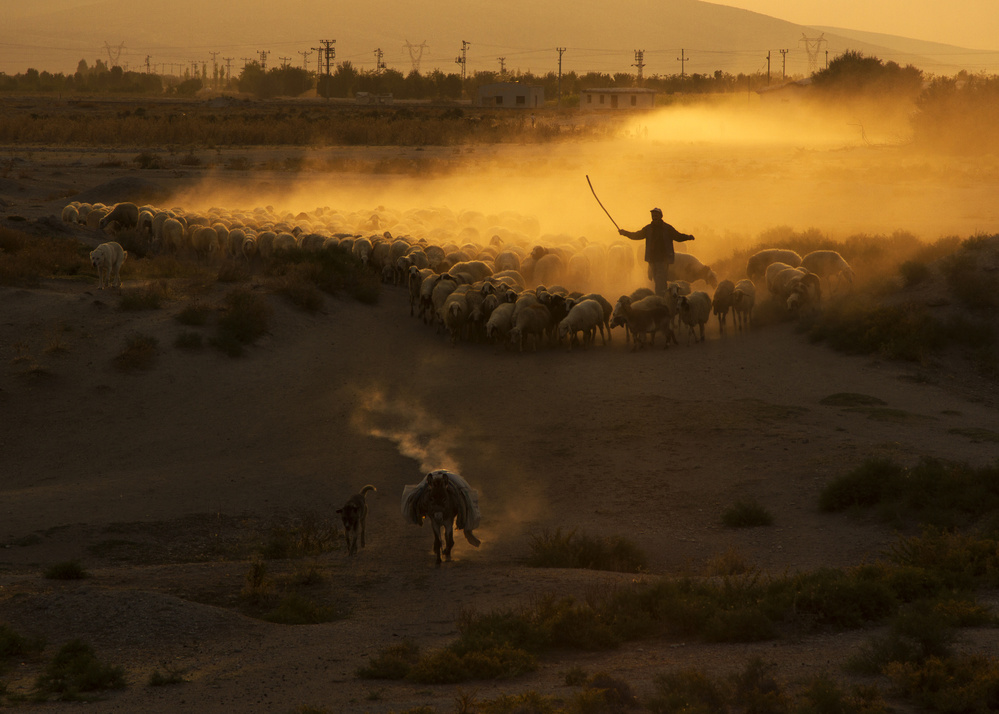 escape from the village von feyzullah tunc