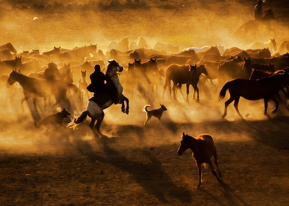 golden tıme von feyzullah tunc