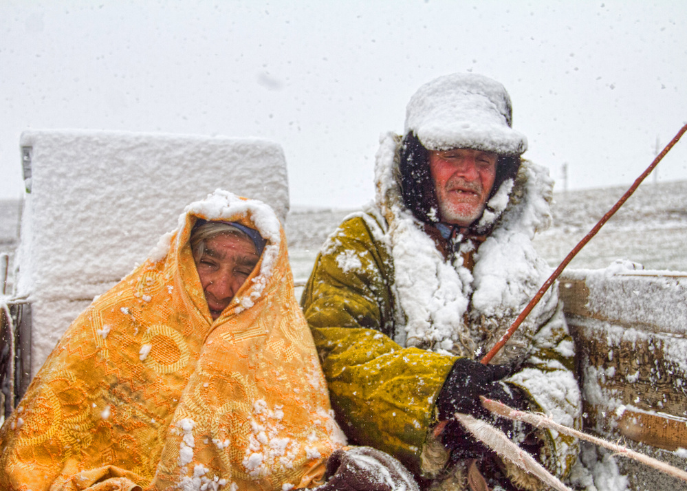 cold love von feyzullah tunc