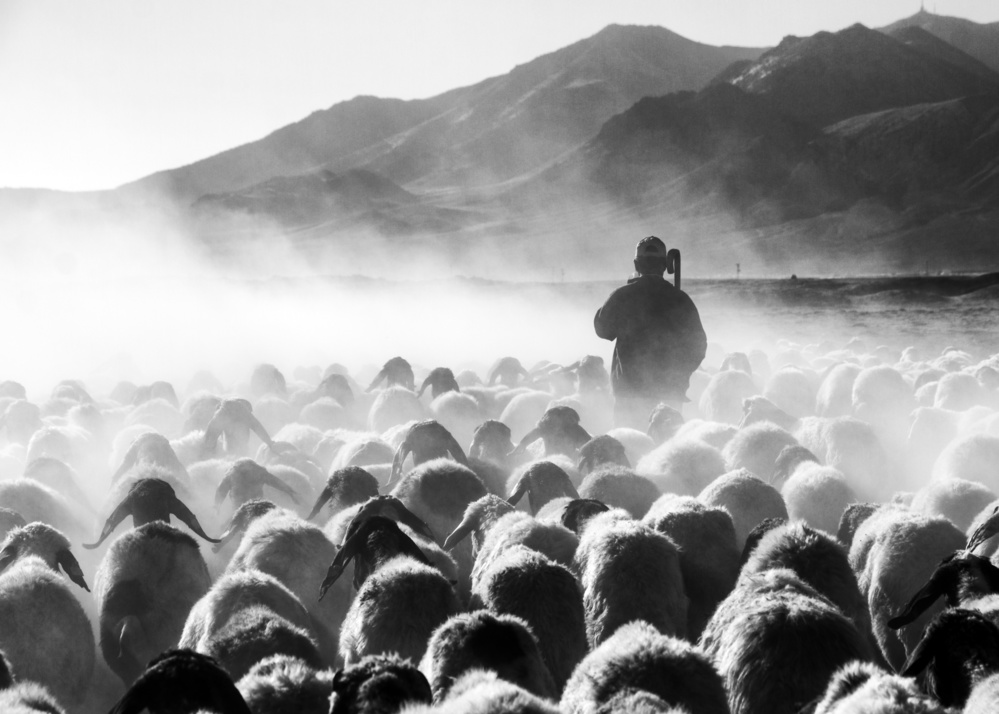 heads von feyzullah tunc