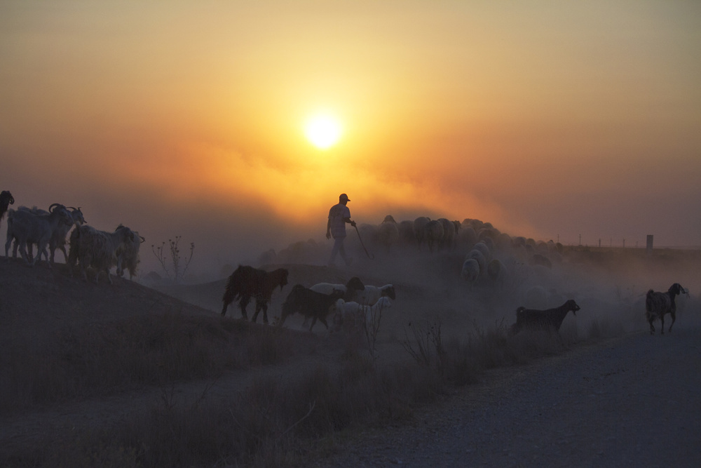 afternoon von feyzullah tunc