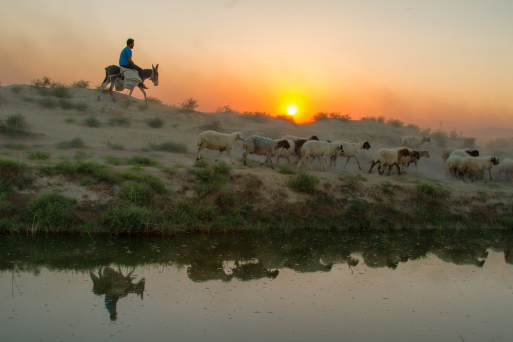 sunset von feyzullah tunc