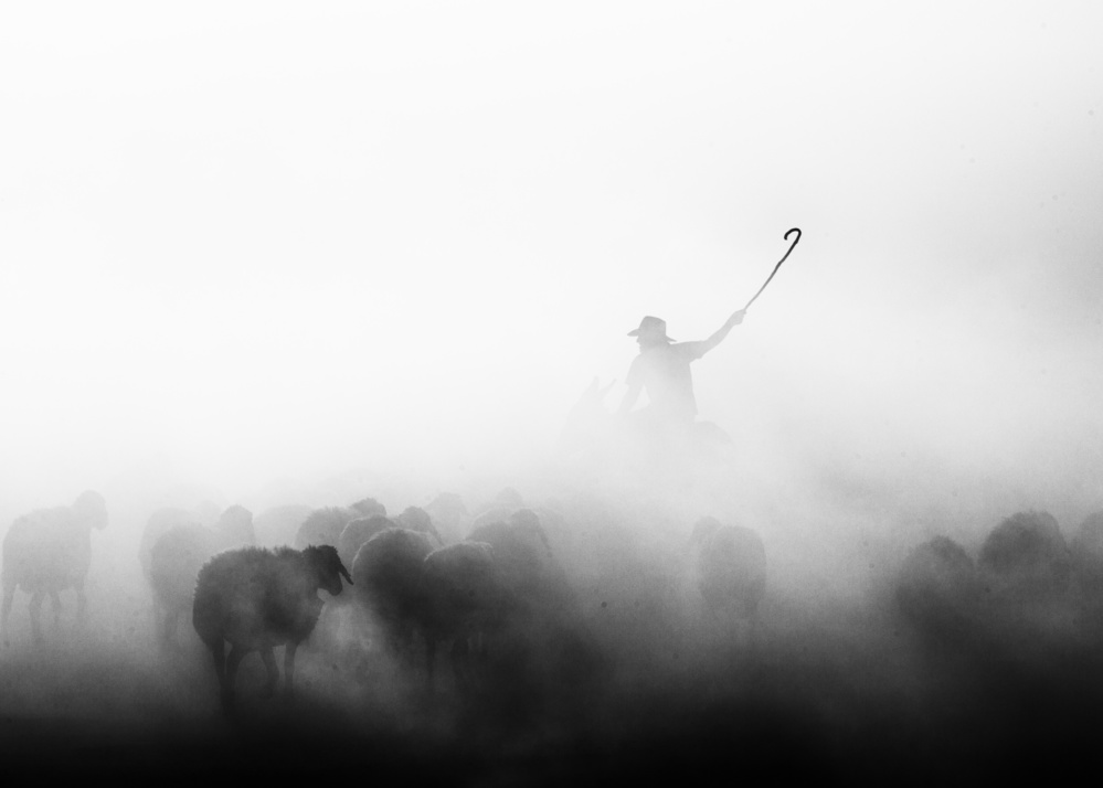 Dust cloud von feyzullah tunc