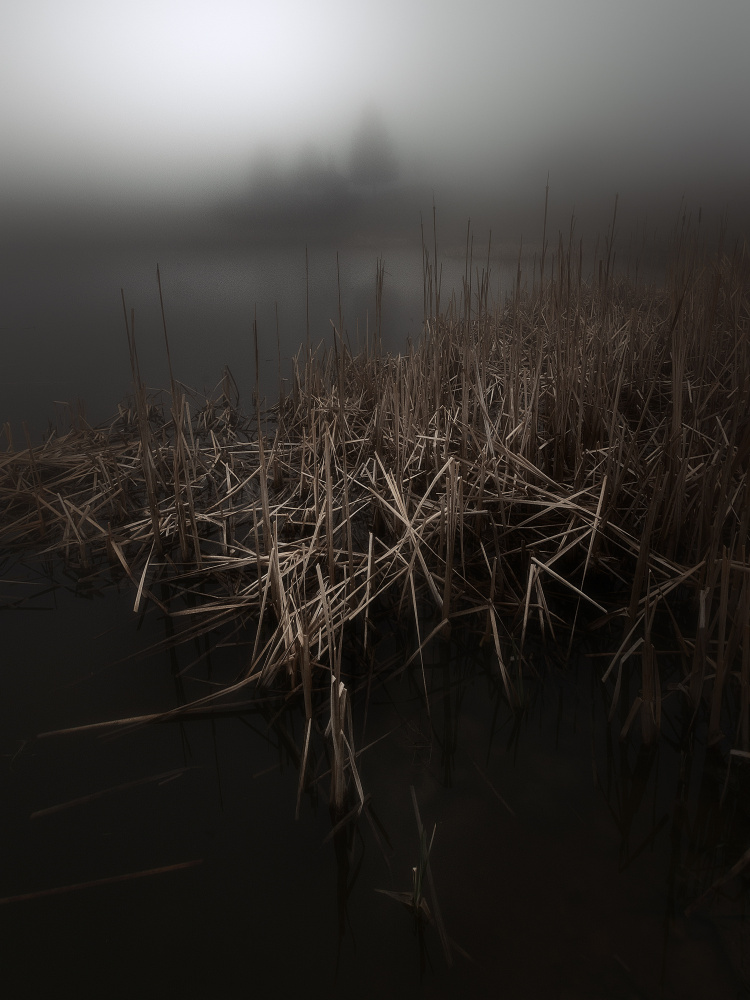 The Mists of Pertüs Lake von Filippo Manini