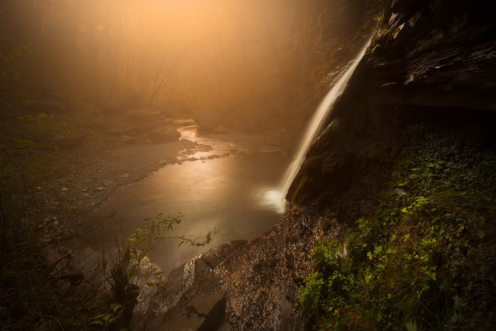 Walking into Eden Garden von Filippo Manini