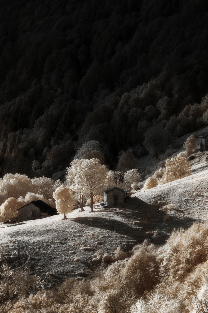 Infrared dream von Filippo Manini