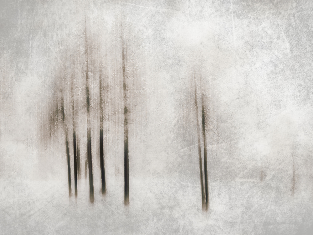 Winter ghosts von Filippo Manini