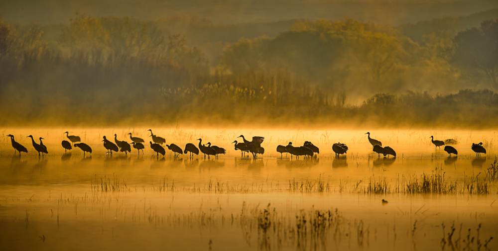 Adventure starts at Sunrise von Fion Wong