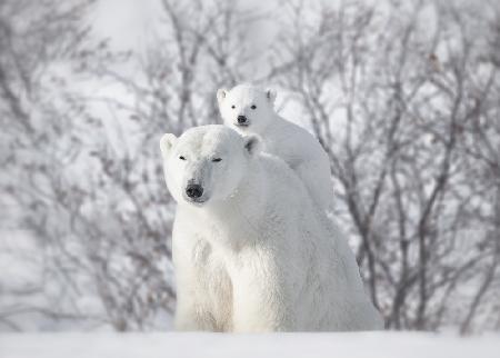 Climbing