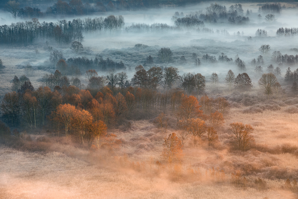 Autumnal misty dawn von Fiorenzo Carozzi