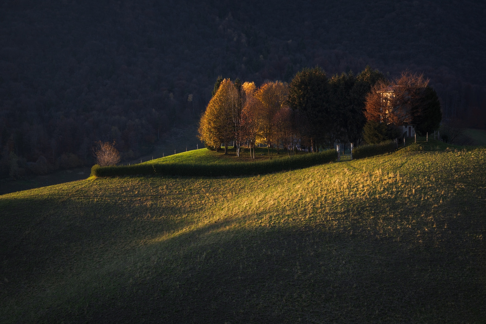 Autumnal light von Fiorenzo Carozzi