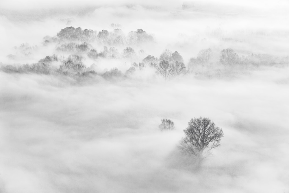 Foggy atmosphere von Fiorenzo Carozzi