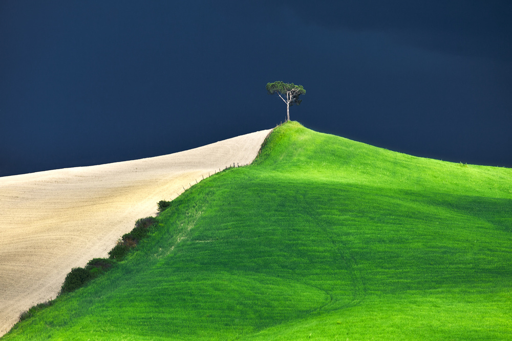 Before the storm von Fiorenzo Carozzi