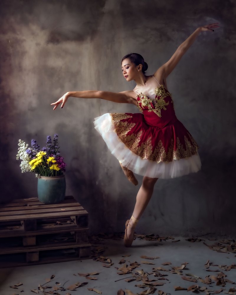 Ballerina von Fira Mikael