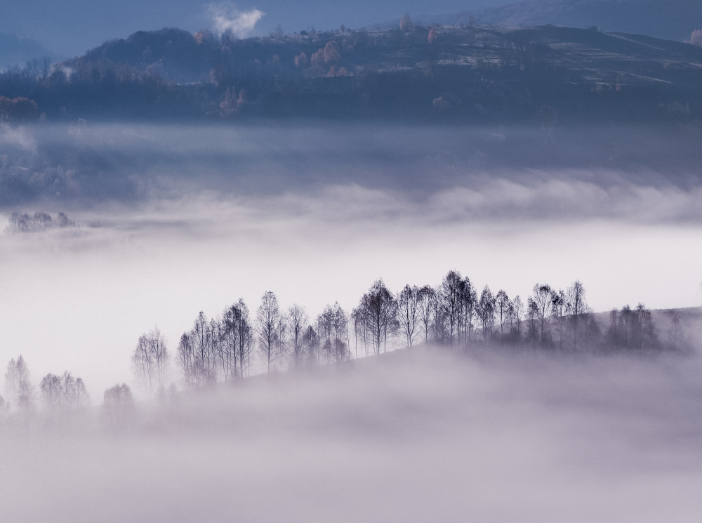 Foggy morning von Flegner Calin