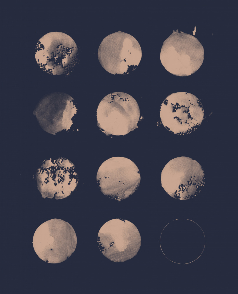 12 Moons von Florent Bodart