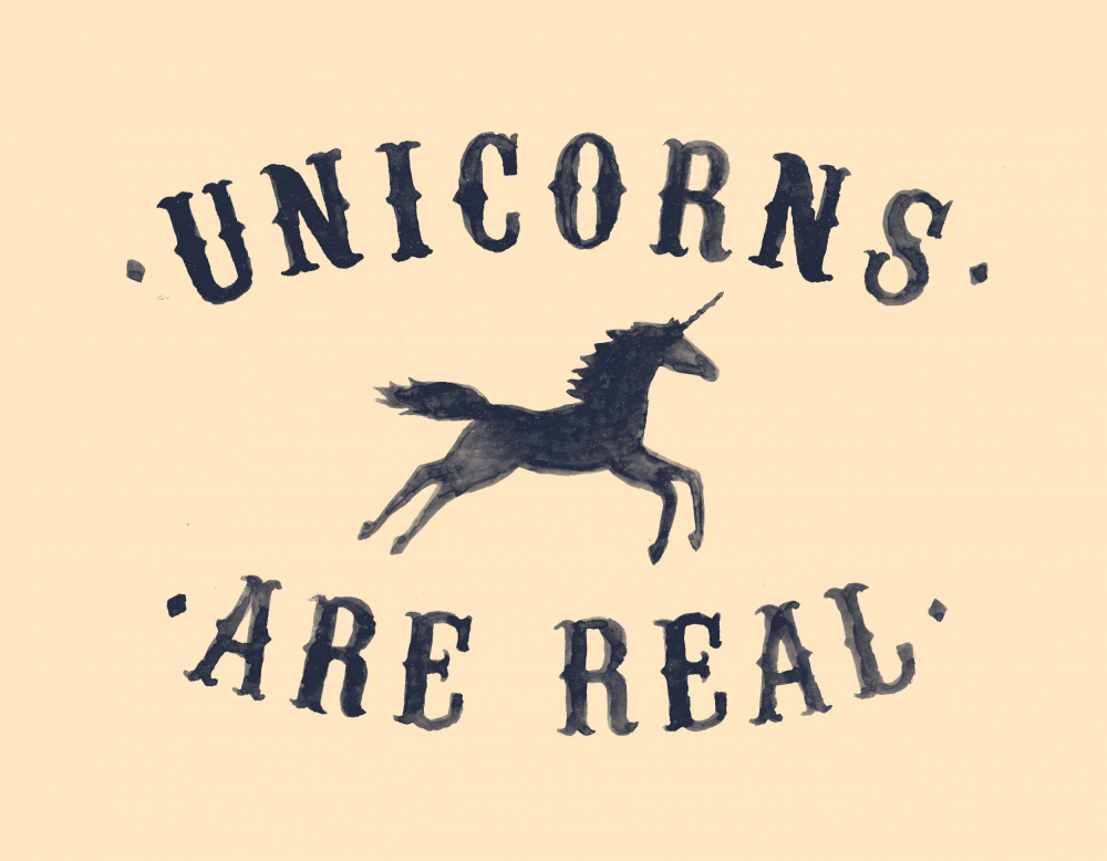 Unicorns Are Real Ii von Florent Bodart