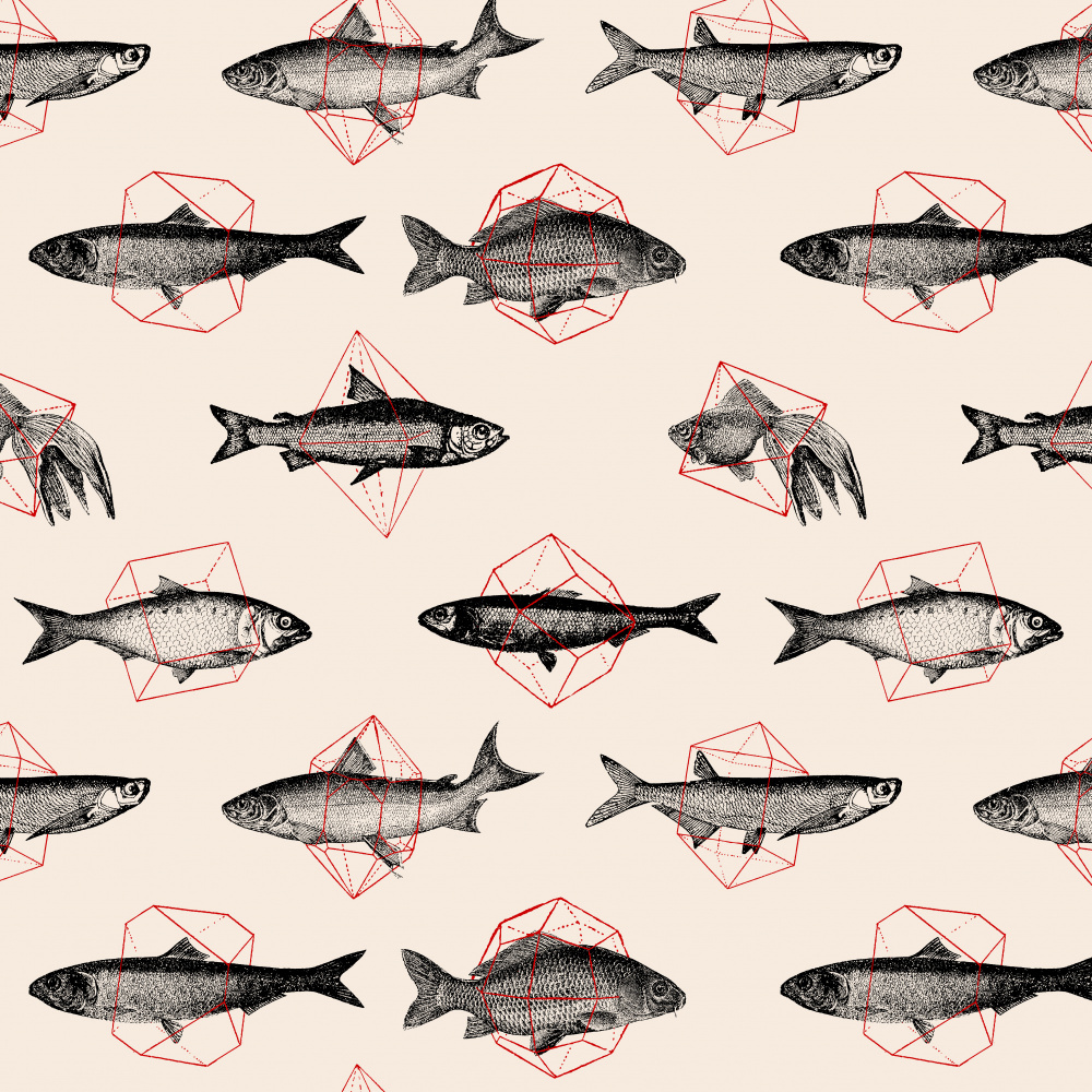 Fish In Geometrics Nº1 von Florent Bodart