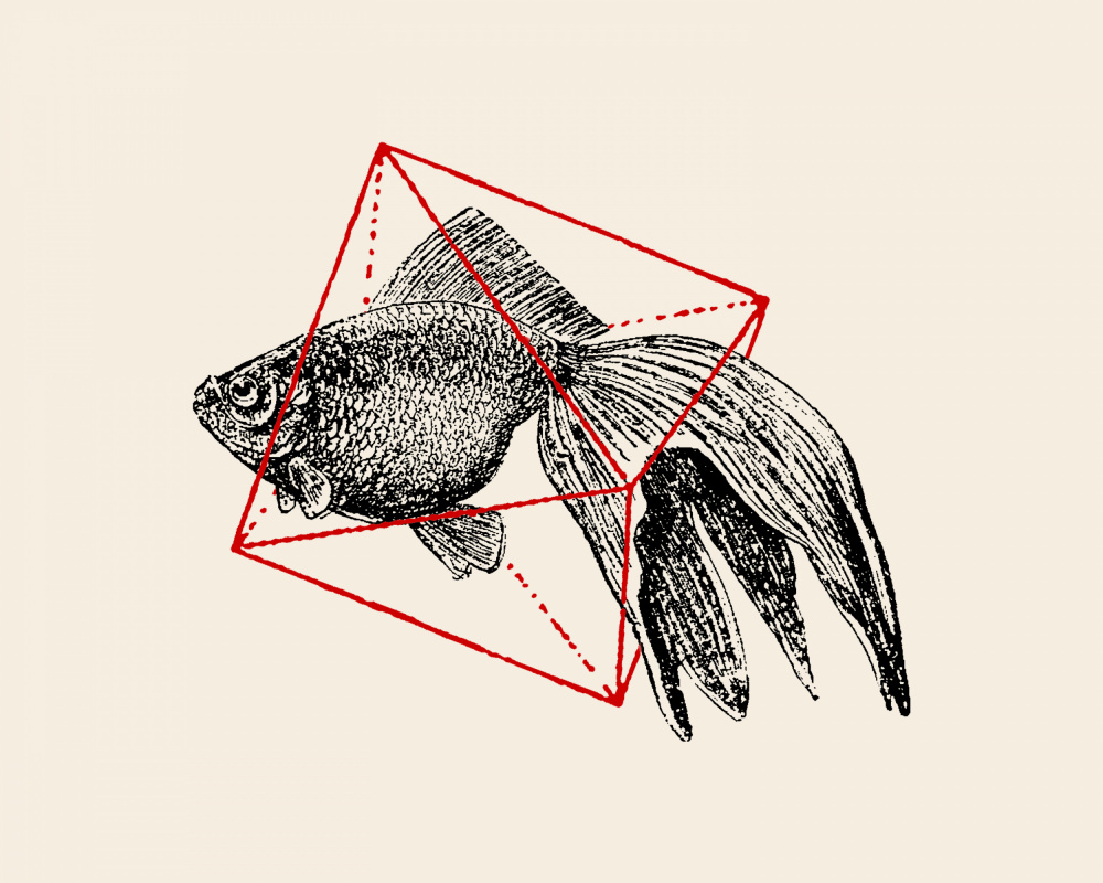 Fish In Geometrics Nº3 von Florent Bodart