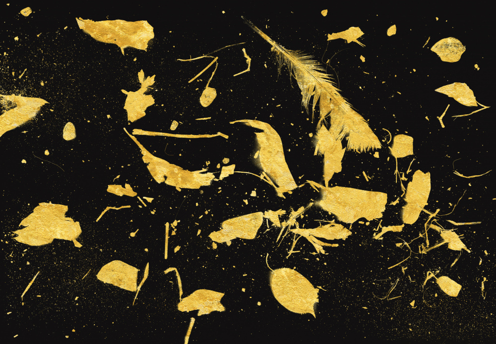 Gold Dust von Florent Bodart