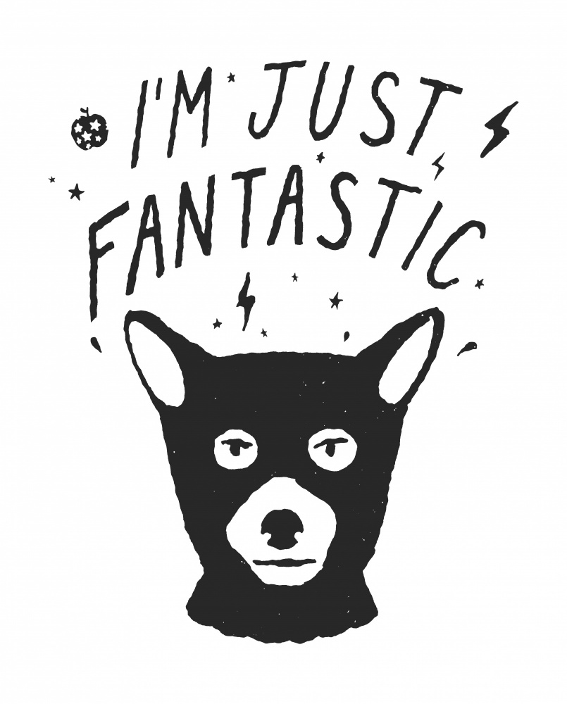 Im Just Fantastic von Florent Bodart