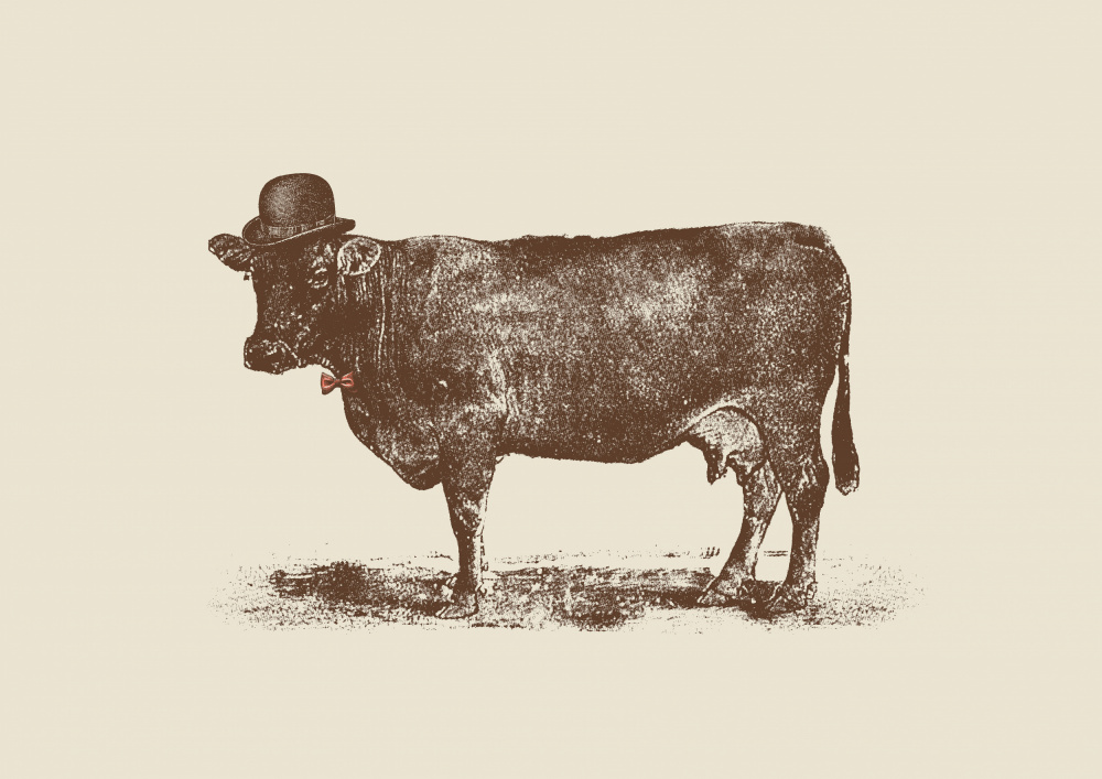 Cow Cow Nut von Florent Bodart