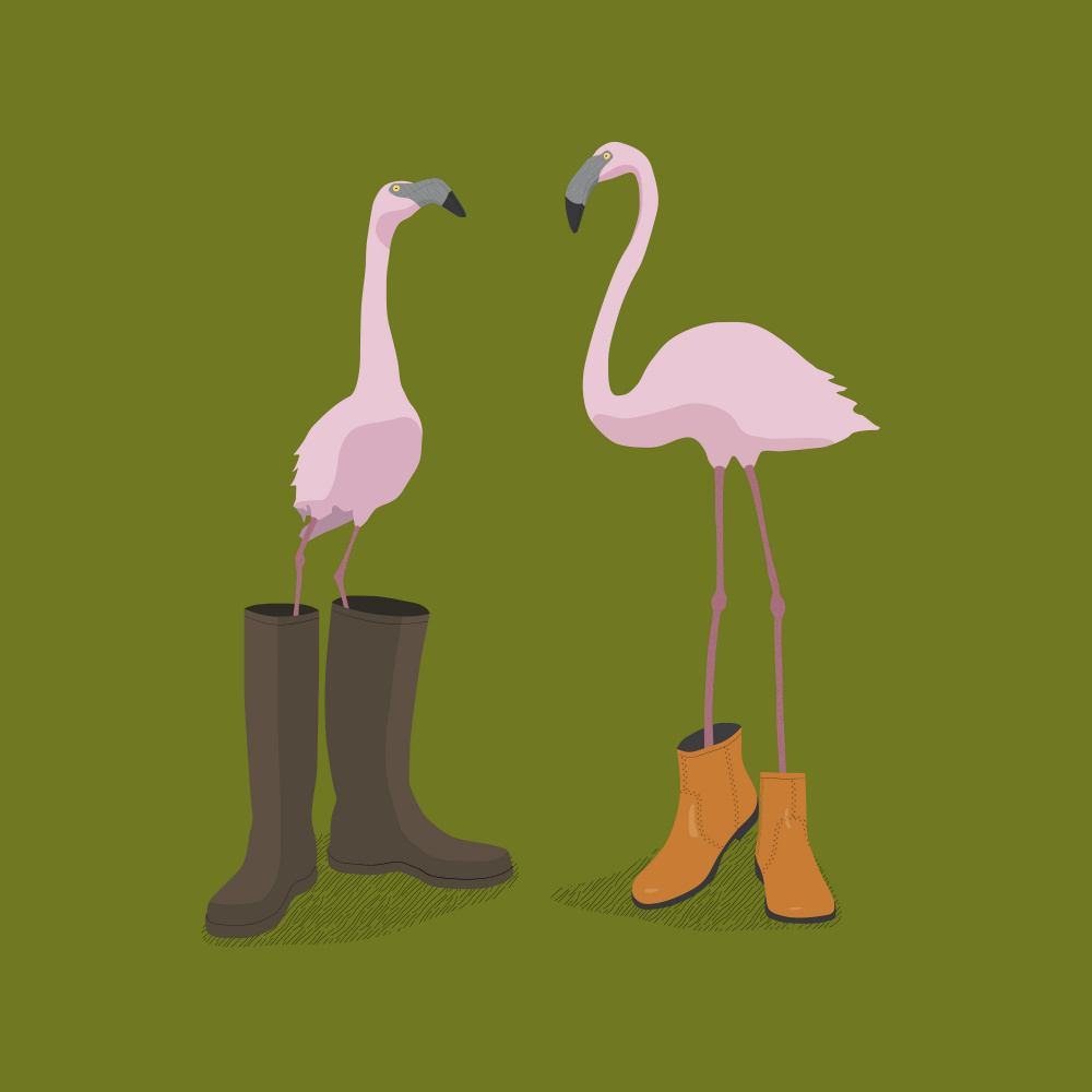 Fashion Flamingos von Florent Bodart