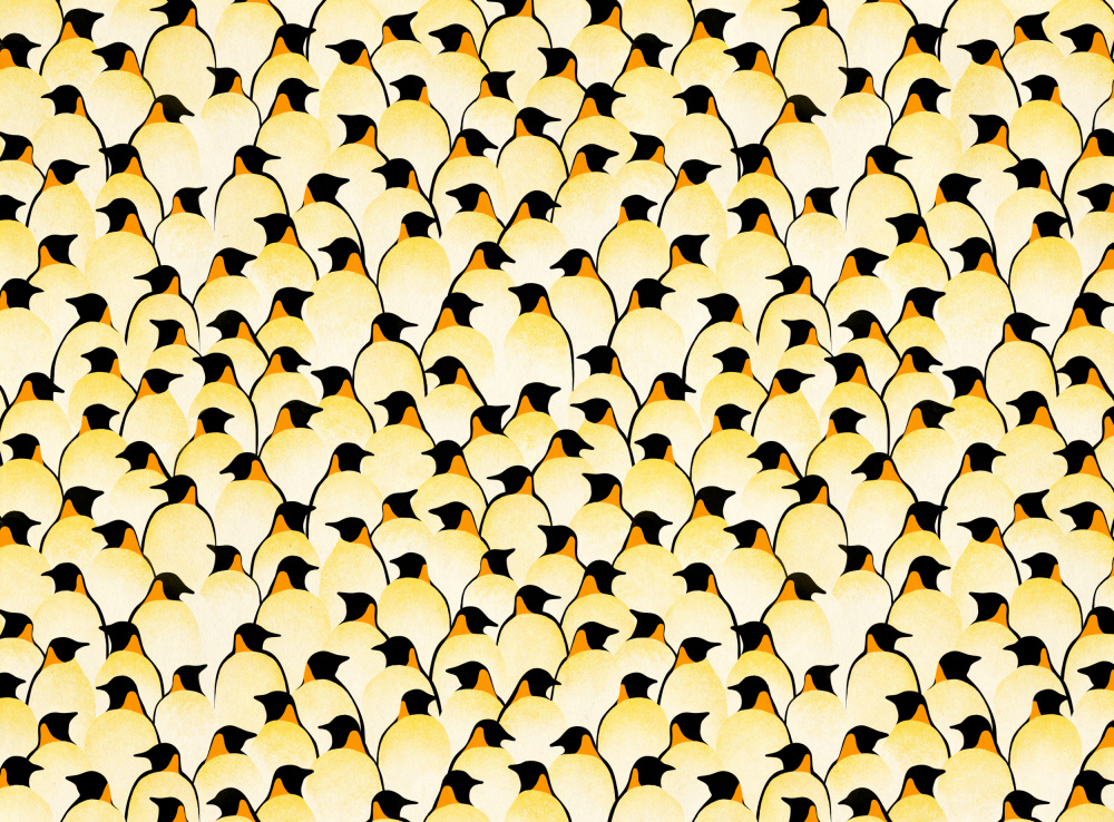 Penguins von Florent Bodart