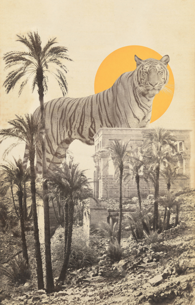 Giant Tiger In Ruins von Florent Bodart