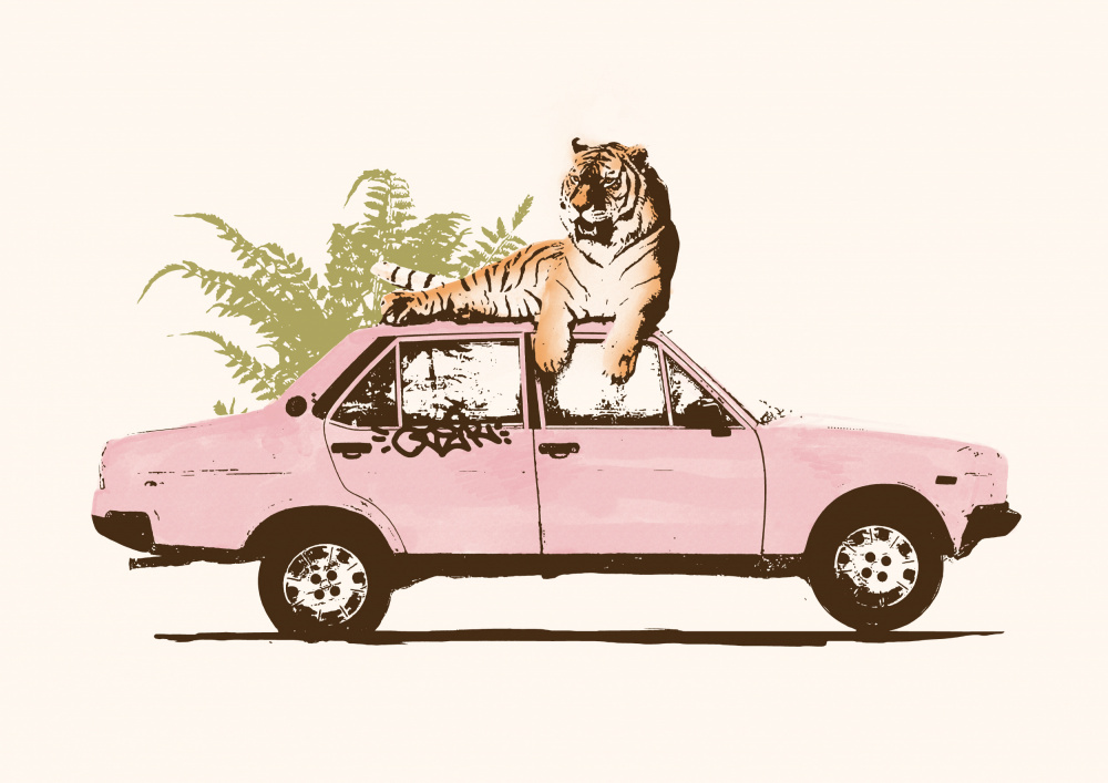 Tiger On Car von Florent Bodart