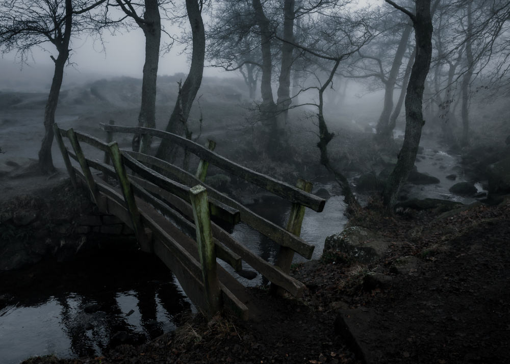 The Styx Crossing von Francis Wilson