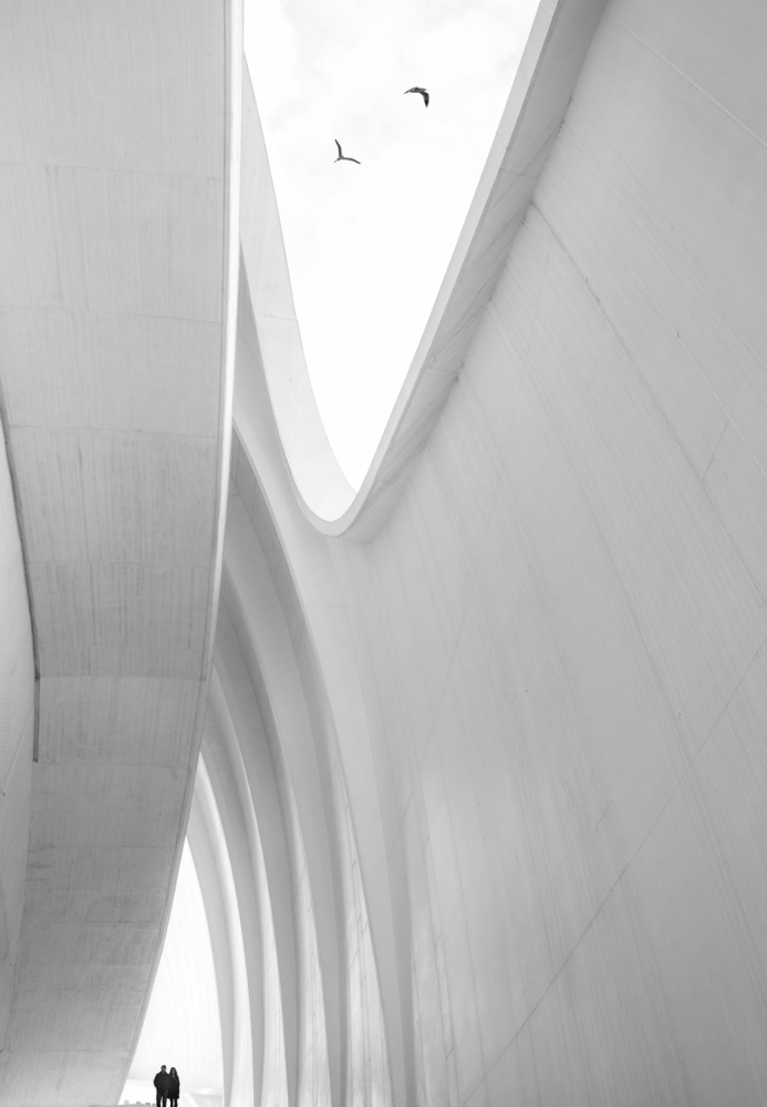 ciudad de las ciencias von FRANCISCO SANCHEZ FOTOGRAFIAS