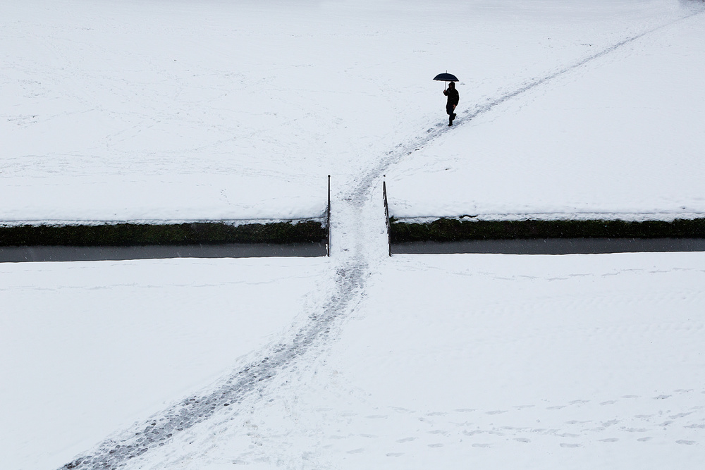 black umbrella von Franco Maffei