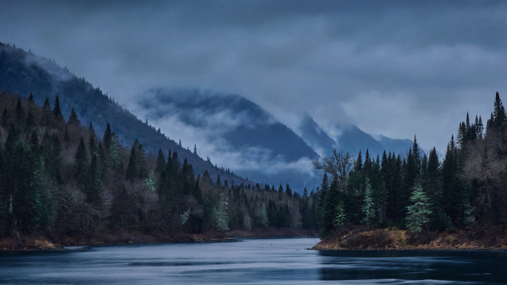 Moving Fog von François Audet