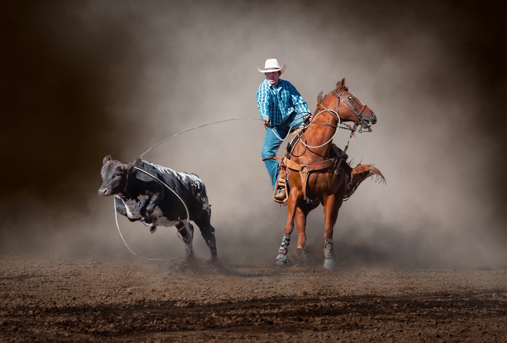 Roped von Frank Ma