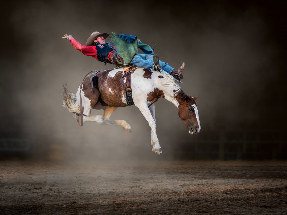 Buckjumping von Frank Ma