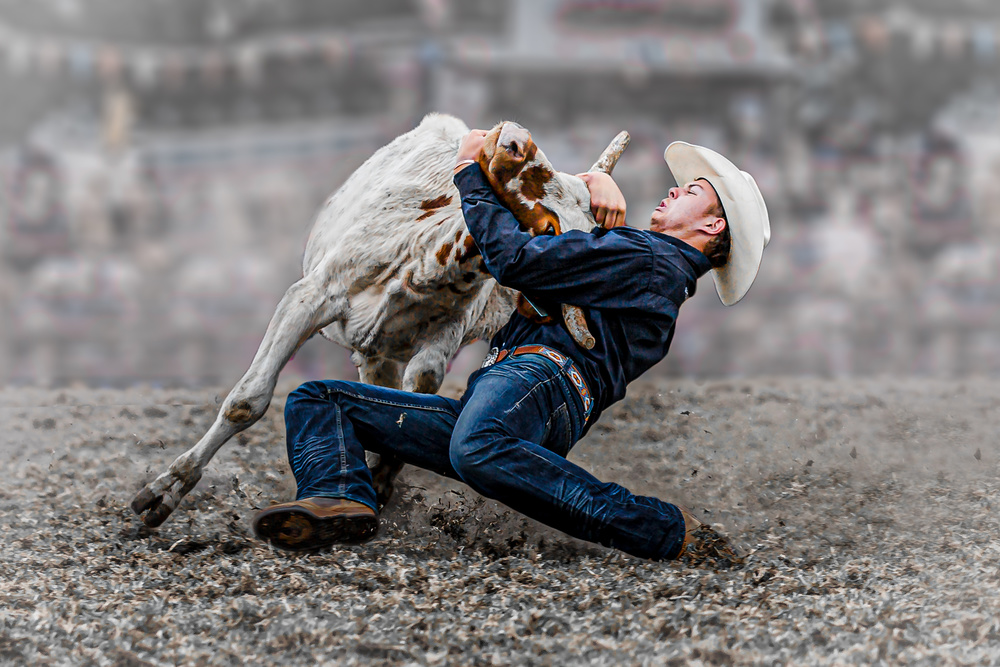 Steer Wrestling von Frank Ma