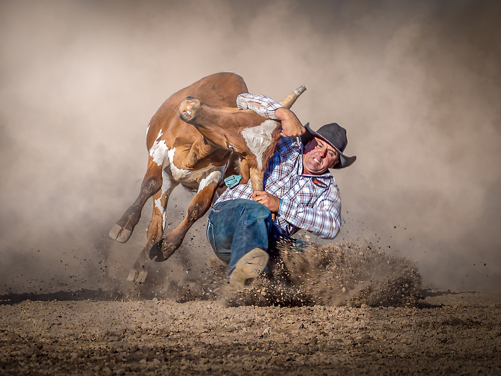 Steer Wrestling von Frank Ma