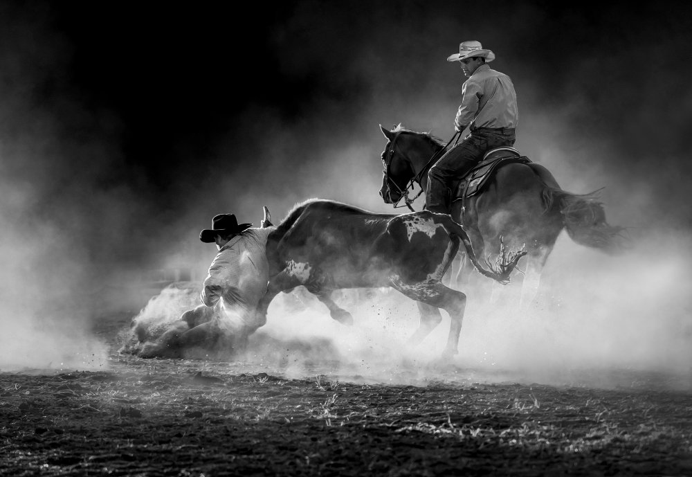 Steer Wrestling in the Light von Frank Ma