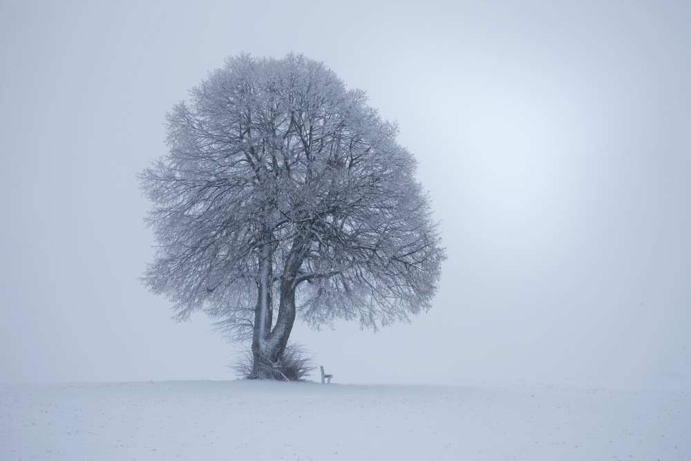 WINTERSTIMMUNG von Franz Schumacher